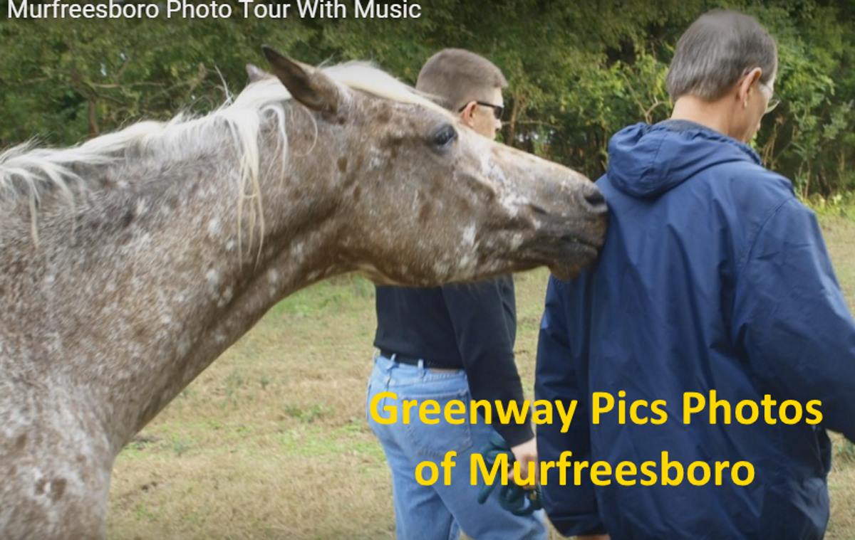 Murfreesboro Pics Photos of Greenway